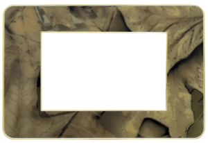 Salma Cover Butterfly Glossy / Gold Glossy 3 gang