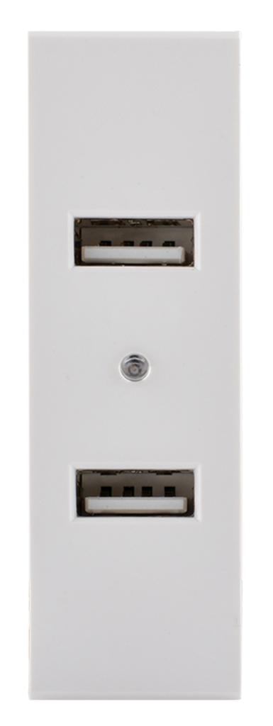 2 USB socket charger 22mm - NUV 80 907
